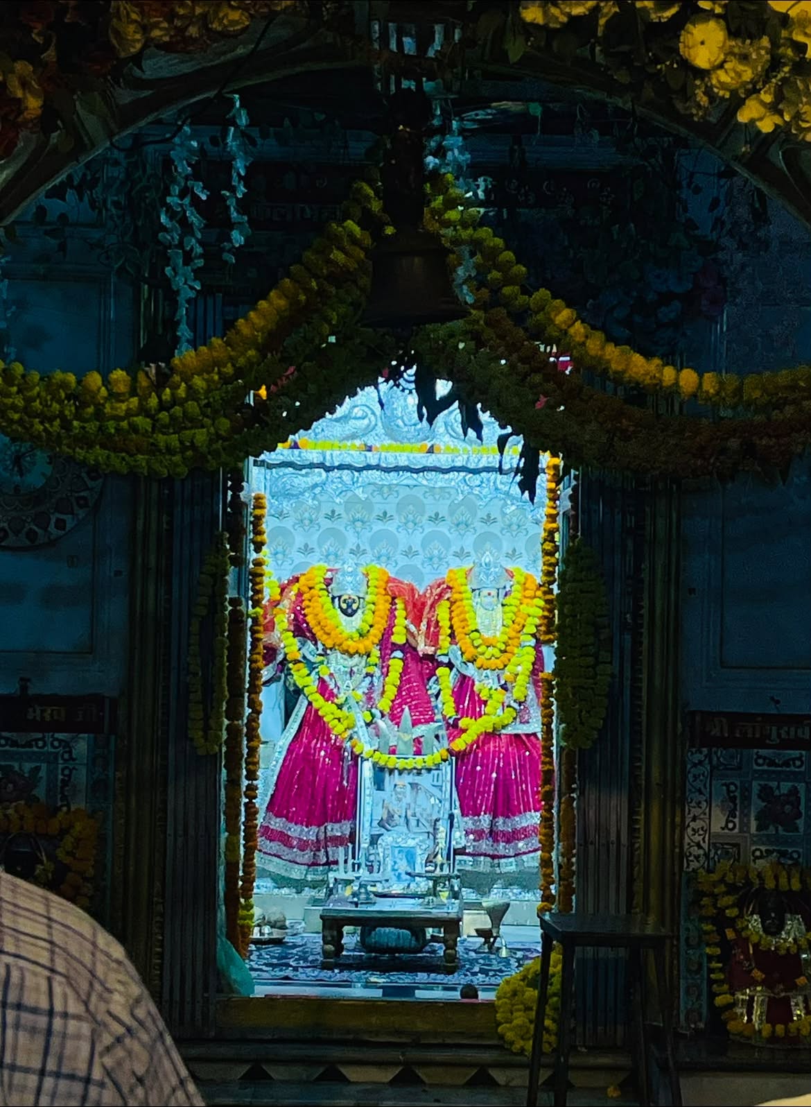 Chhoti Karoli – Karoli Mata (Kaila Devi) Mandir, Mahalgaon, Gwalior photo 3